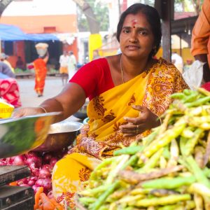 Balancing Tradition and Innovation: Embracing Agri-Cultural Heritage