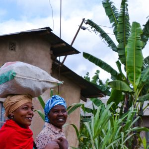 Community Engagement: Mobilizing for Food Security